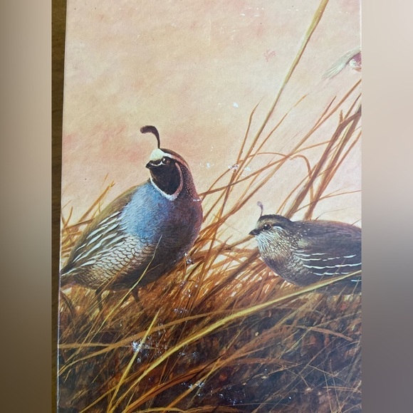 Vintage AVON Quail Decanter Wild Country Men Aftershave Original Box Full 1970s - Picture 8 of 11